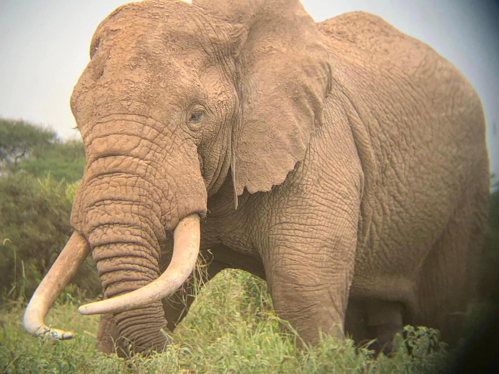 Amboseli Discovery Camp Bagian luar foto