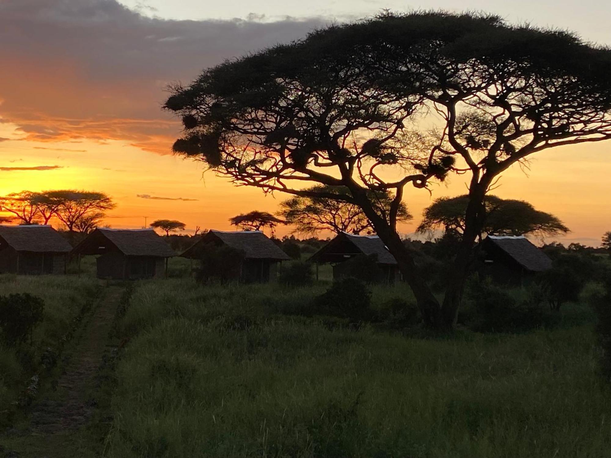 Amboseli Discovery Camp Bagian luar foto