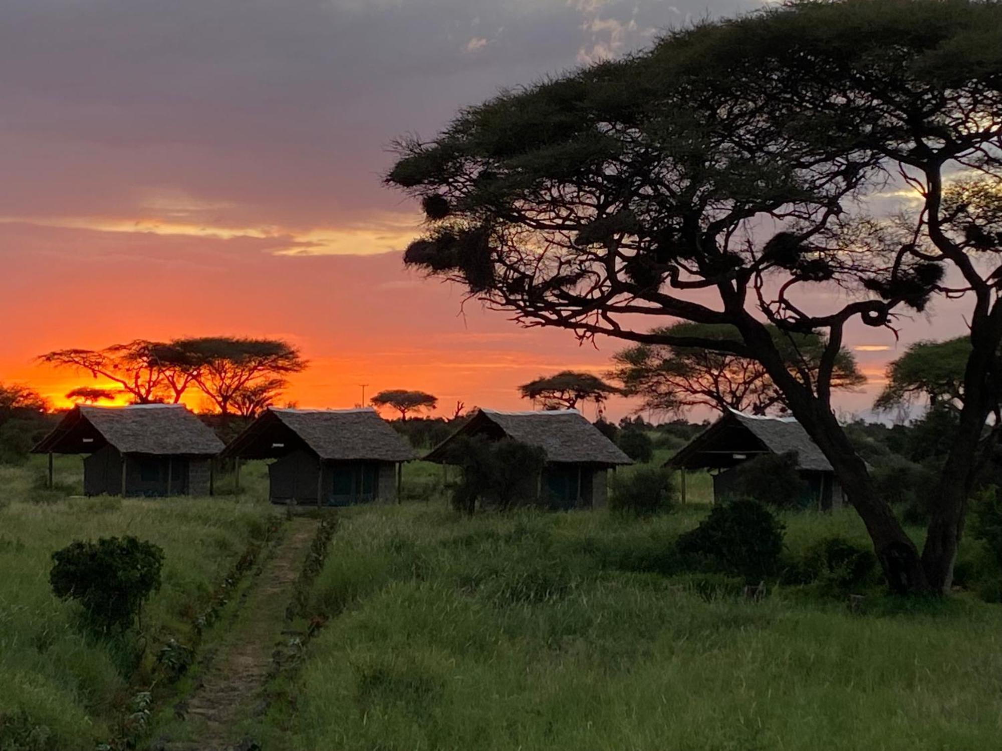 Amboseli Discovery Camp Bagian luar foto