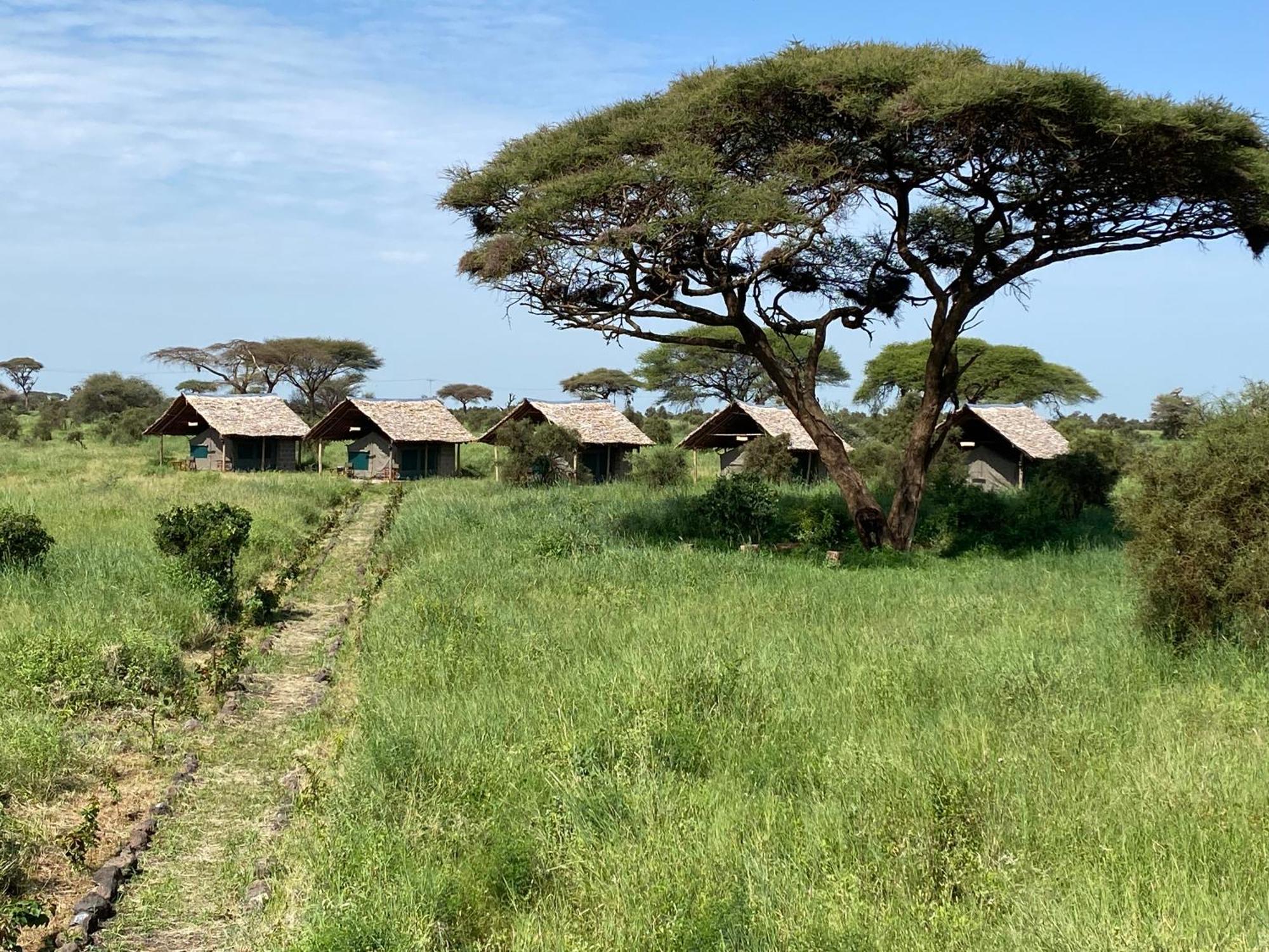 Amboseli Discovery Camp Bagian luar foto