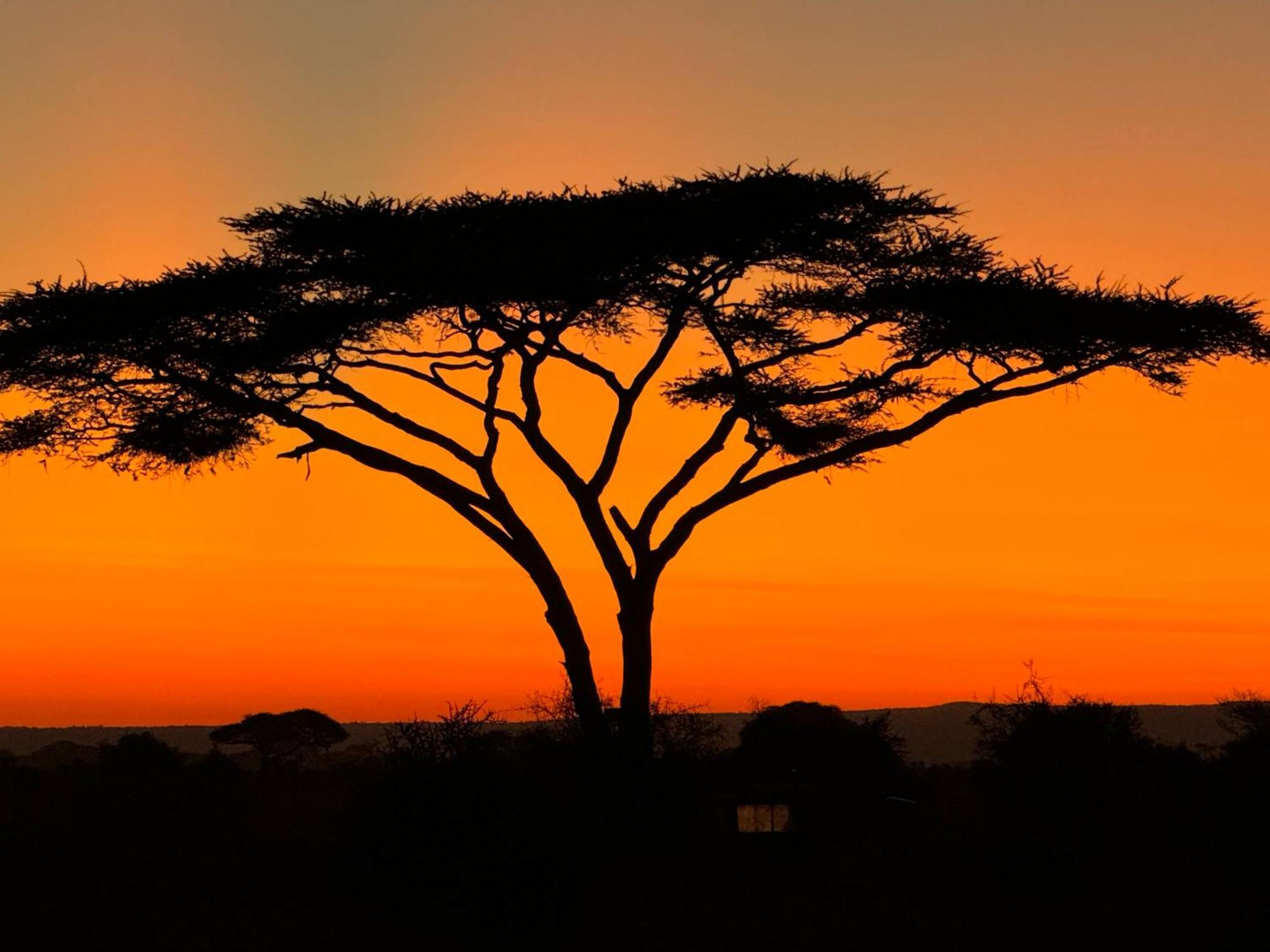 Amboseli Discovery Camp Bagian luar foto